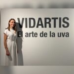 Vidartis, proyecto de Responsabilidad Social de Julián Soler