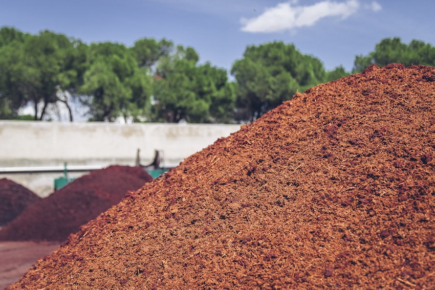 ¿Qué es el orujo de uva? Principal subproducto del mosto